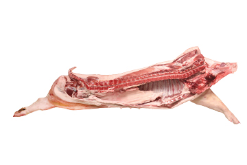 Svinjska polutka sa glavom